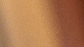 Senador republicano exige información al FBI sobre el origen del COVID-19