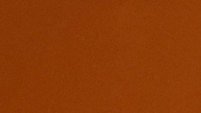 ¿Pueden ahora los inmigrantes indocumentados volverse policías en Illinois? Esto dice la ley aprobada por el gobernador