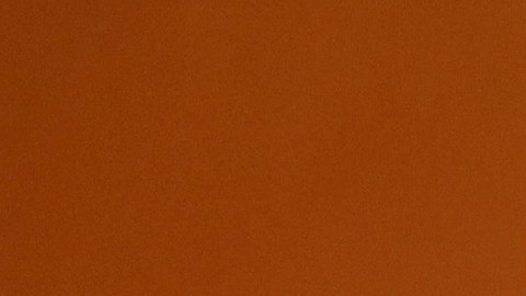 ¿Pueden ahora los inmigrantes indocumentados volverse policías en Illinois? Esto dice la ley aprobada por el gobernador