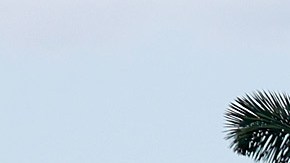 Quién es Carlos De Oliveira: otro empleado de Trump que fue acusado por el Departamento de Justicia