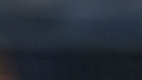 Juan Soto pudiera llegar a Yankees en esta ventana de cambios.