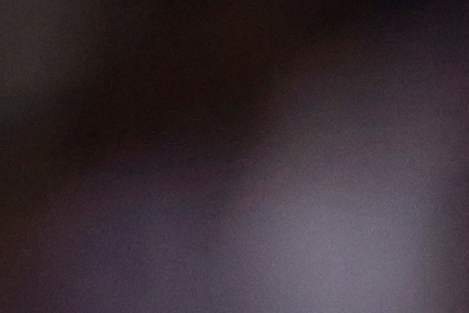 Jesús Ferreira vive un gran momento goleador con Estados Unidos. FOTO: Justin Casterline/Getty Images.