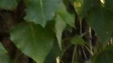 El hombre responsable de la explosión fue identificado como Ihor Humenyuk.