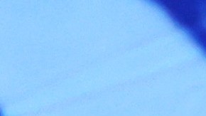 La campaña del floridano gastó más de $1 millón en nómina, impuestos de nómina, seguros y tarifas de procesamiento.