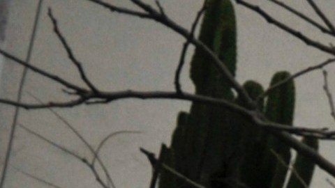 Trágico accidente en Lima.