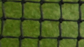 La lesión de rodilla de Venus Williams marcó un antes y un después en el partido.