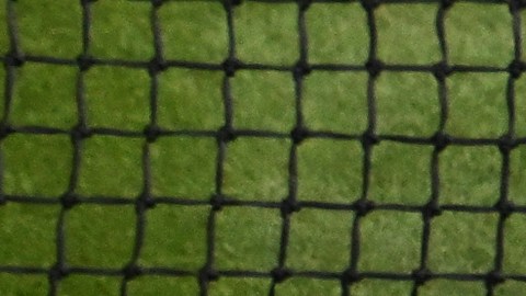 La lesión de rodilla de Venus Williams marcó un antes y un después en el partido.