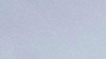 Amie Adamson murió tras haber sido atacada por un oso.