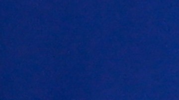 Joey Chestnut durante la competencia anual de Hot Dogs en celebración del 4 de julio.