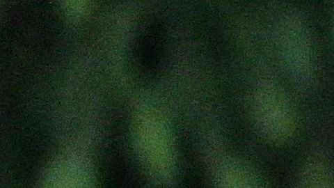 Volodymyr Zelensky canta el himno nacional de Ucrania durante un evento por el regreso de los comandantes de las fuerzas ucranianas.