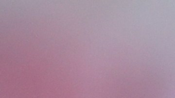 Veljko Paunovic durante un encuentro ante Atlético San Luis.