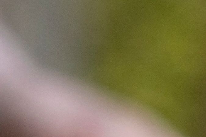 Un científico examina una sección transversal de hielo y sedimentos recolectados del fondo del lago Crawford Lake cerca de Milton, Ontario, Canadá, el 12 de abril de 2023. (Foto de PETER POWER/AFP vía Getty Images)