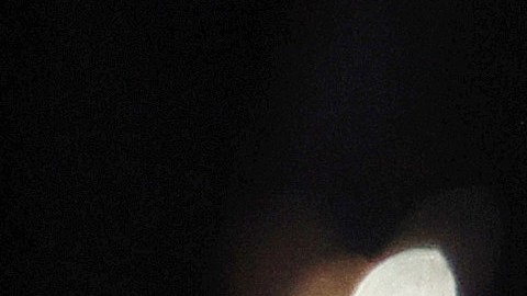 Trump ha reiterado en numerosas ocasiones que se considera víctima de una "caza de brujas".