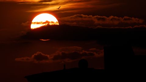 Un sol abrumador se aprecia desde Berlín, Alemania, el 12 de julio de 2023.