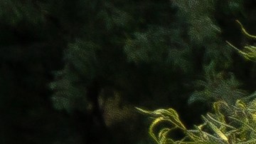 Ola de calor en Arizona