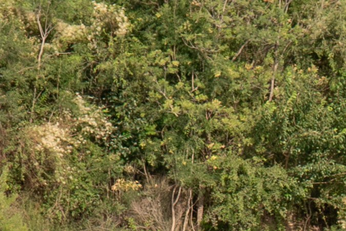 Detenciones en la frontera entre EE.UU. y México llegan a su nivel más bajo desde 2021