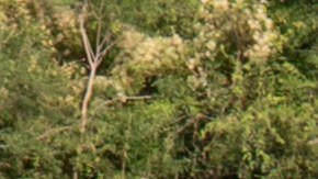 Detenciones en la frontera entre EE.UU. y México llegan a su nivel más bajo desde 2021