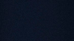 En qué consiste la Ley para Terminación de la Ciudadanía por Nacimiento de 2023 en EE.UU. propuesta por un congresista republicano