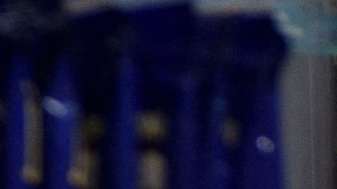 Jugador de lotería