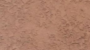 Las Palmitas Mini Market; boleto ganador de los $1,000 millones del Powerball