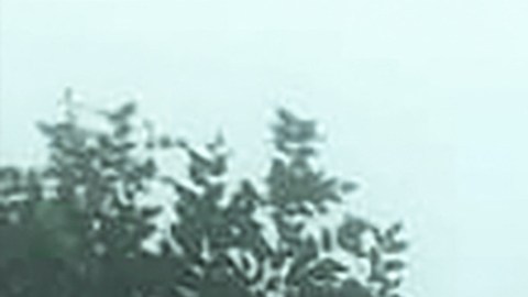 Hasta el momento, se ha confirmado la muerte de 22 personas desde el deslizamiento de tierra.
