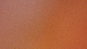 Guillermo Ochoa compartió con varios jóvenes futbolistas en Disney.