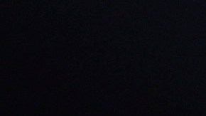 DeSantis despide a miembro de su equipo de campaña por compartir video con simbología nazi