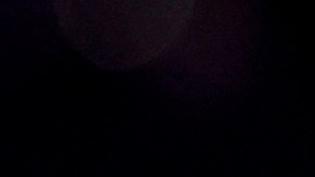 Nikki Haley sobre la carrera presidencial en EE.UU.: "Las encuestas nacionales no importan ahora"