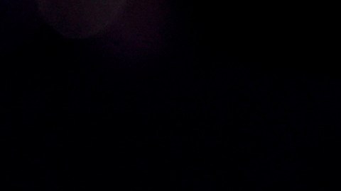 Nikki Haley sobre la carrera presidencial en EE.UU.: "Las encuestas nacionales no importan ahora"