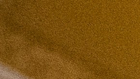 Mitch McConnell se quedó "congelado" en plena conferencia de prensa.