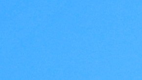 El estratega aplica estrictas medidas para controlar a sus jugadores y así evitar problemas en el campo.