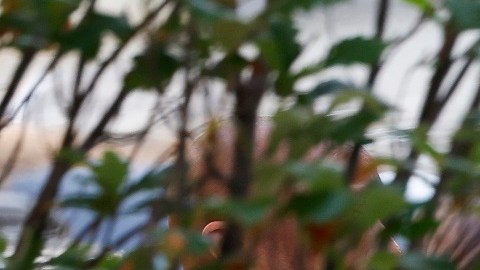 Hunter Biden acudió a la audiencia en una corte federal en Wilmington, Delaware.