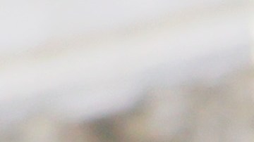 Lewis se presentó voluntariamente a los juzgados de Nueva York.