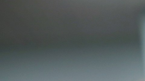Inmigrantes de ciertos países tendrán opciones para patrocinar a sus familiares.