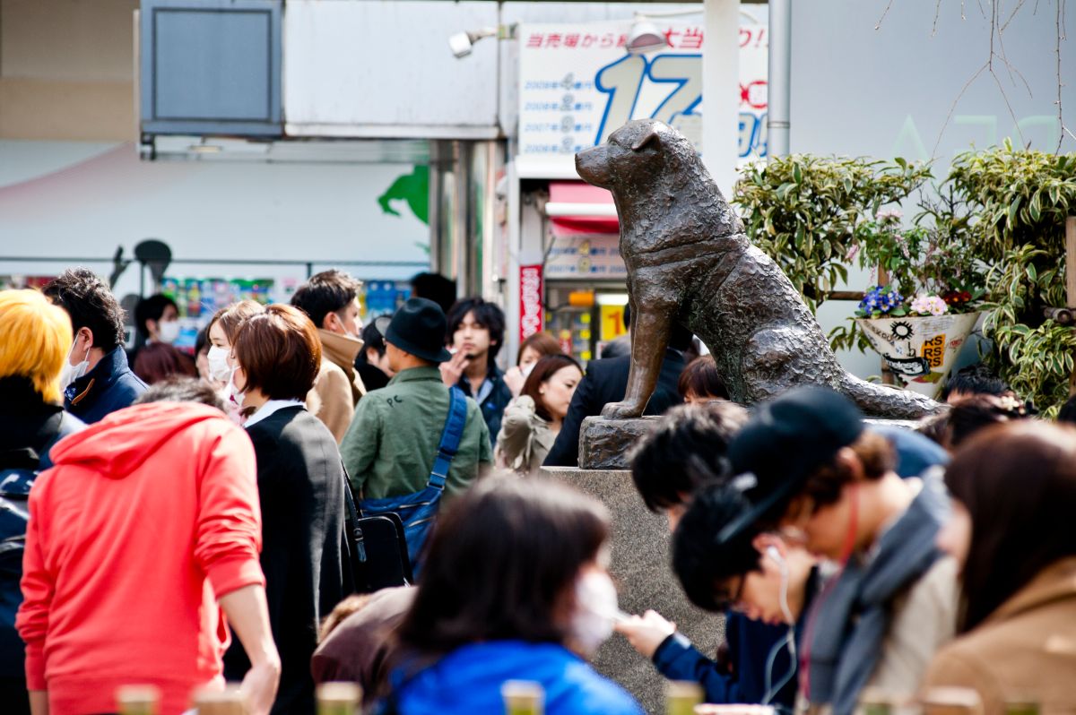 The emotional story of Hachiko, the "most faithful dog in the world