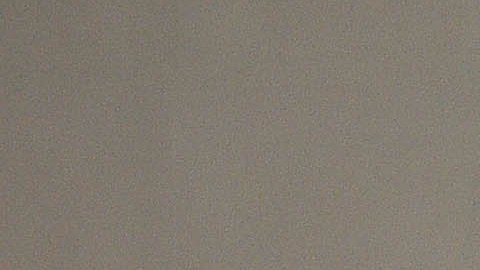 Trabajadores domésticos de EE.UU. se organizan para conseguir mejores condiciones laborales