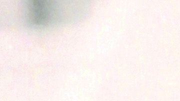 Quentin Tarantino y Bruce Willis en el Festival de Cine de Cannes de 1994.