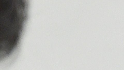 Romario en una sesión parlamentaria