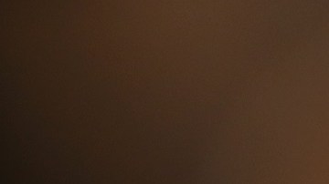 Agentes de CBP pueden revisar el celular de cualquier extranjero en un puerto de entrada.