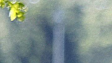 Shaka Hislop en su época de jugador con su selección de Trinidad y Tobago.