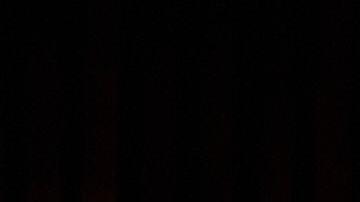 A crest of the Federal Bureau of Investi