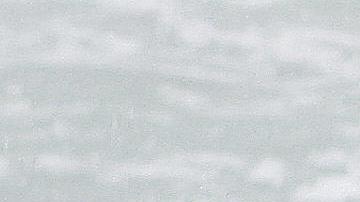 Intentos de rescate de ballenas piloto en Australia.