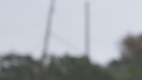 Agentes del condado Comal en Texas