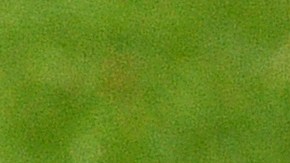 El partido fue paralizado mientras sacaban la ambulancia del campo.