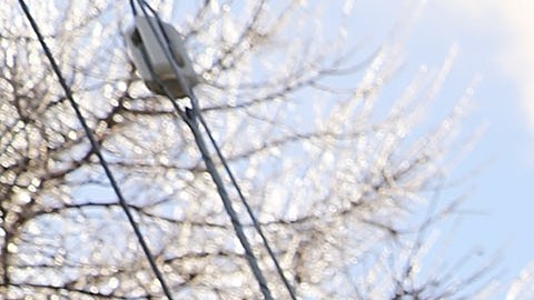 Un funcionario dijo que la búsqueda fue difícil debido a la cantidad de desorden que había en el apartamento.