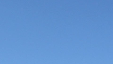 Oficial de policía de Ohio que liberó un perro contra un hombre afroamericano desarmado fue despedido