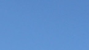 Oficial de policía de Ohio que liberó un perro contra un hombre afroamericano desarmado fue despedido