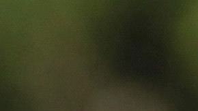 Fin de semana violento en el estado mexicano de Morelos.