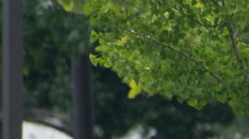 Los detectives hallaron un arsenal de armas, municiones y piezas para fabricar explosivos en la casa del tirador.