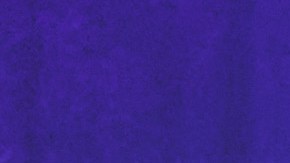 En exclusiva conversamos con Raúl de Molina y Lili Estefan, los conductores de El Gordo y la Flaca.